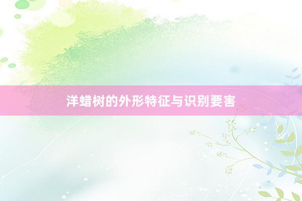 洋蜡树的外形特征与识别要害