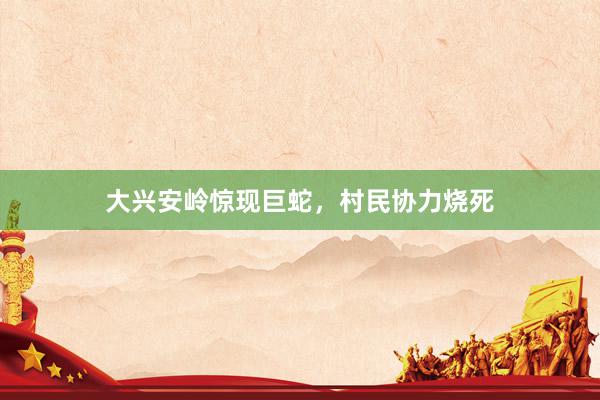 大兴安岭惊现巨蛇，村民协力烧死