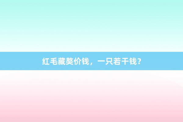红毛藏獒价钱，一只若干钱？