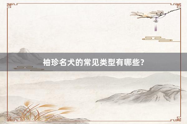 袖珍名犬的常见类型有哪些？